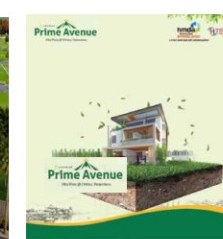Prime Avenue gallery 1